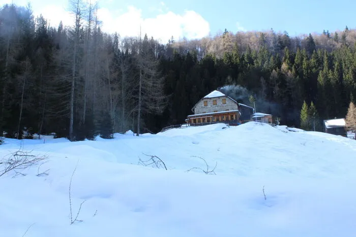 5.Koschutahaus. Eine Schneeschuhwanderung zum Koschutahaus (mit Start in Zell-Pfarre) ist ein Gedicht: Liegt nicht viel Schnee, geht es auch mit normalen Wanderschuhen. Das Koschutahaus hat wieder ab 26. Dezember durchgehend bis 8. Jänner geöffnet und verwöhnt mit Hausmannskost. koschutahaus.at