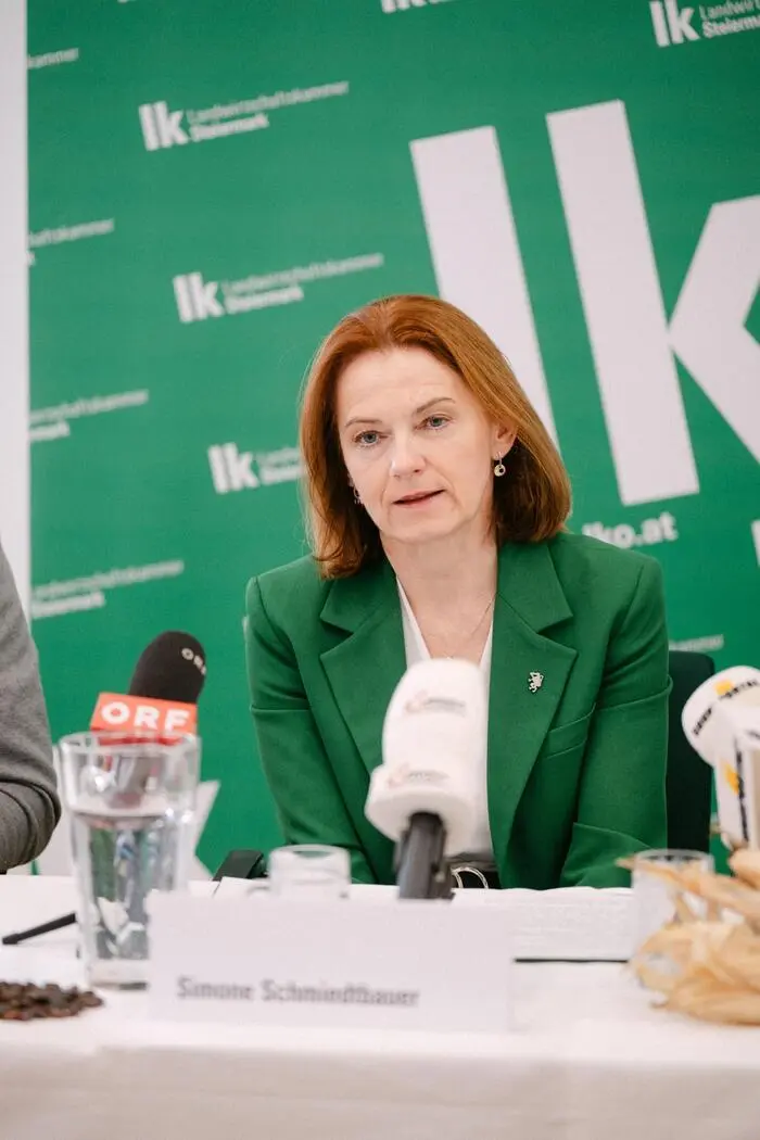 Eine Frau mit schulterlangen Haaren und einem grünen Sakko sitzt an einem Tisch und spricht ins Mikrofon.