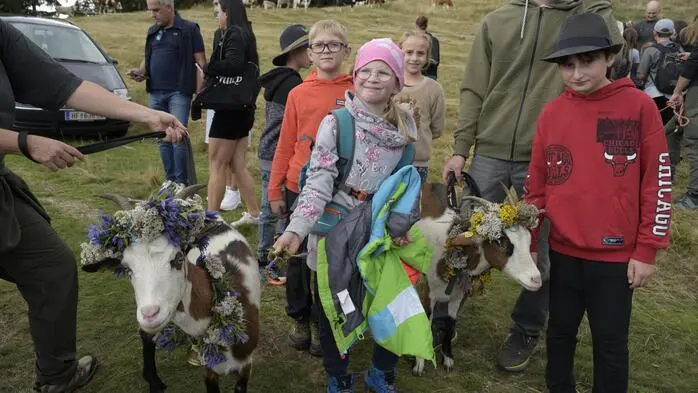 Der Übergang vom Sommer zum Herbst wird im Joglland mit dem traditionellen Almabtrieb vom Hochwechsel eingeläutet.