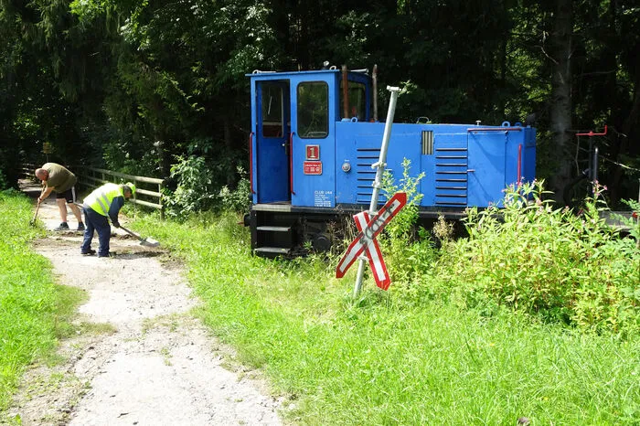 Auch jene bei den kleinen Waldwegen.