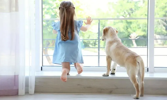 Ob Zwei- oder Vierbeiner: Ist es drinnen angenehm kühl, geht es allen gut.