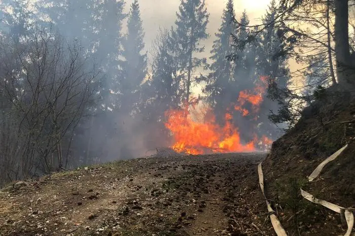 Gegen Abend war das Feuer unter Kontrolle. 