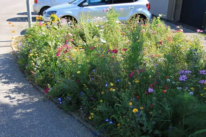 Fünf Floras