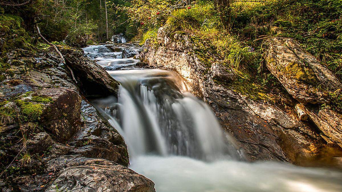 Die Sulm, Flussjuwel und Lebensader, ist Mittelpunkt einer sehenswerten Fotoausstellung im Rathaus Leibnitz