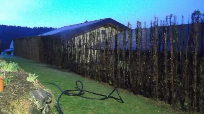 Die 20 Meter lange Thujenhecke fing aus unbekannter Ursache zu brennen an