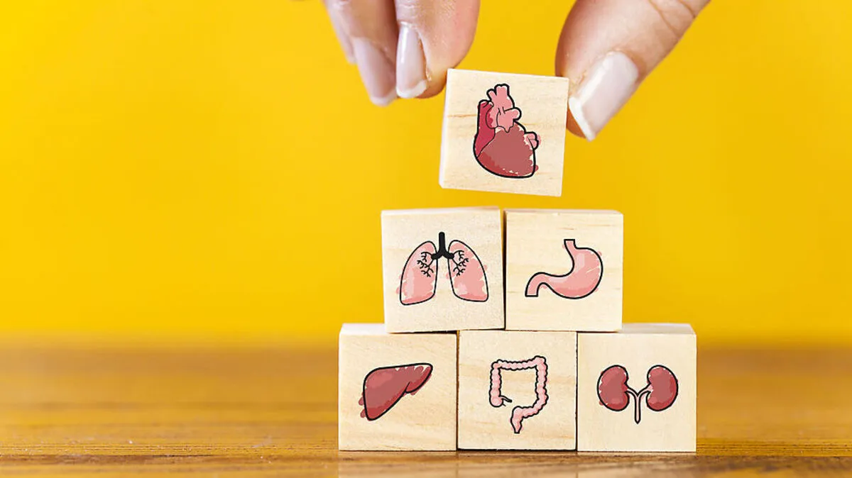 Auch in Österreich wurden 2020  weniger Organe transplantiert