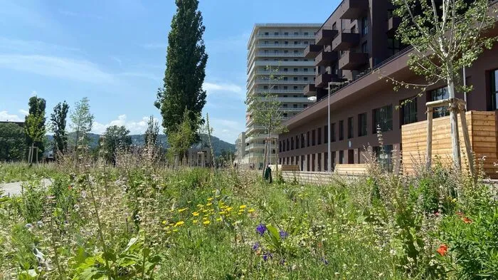 Der 30.000 Quadratmeter große Reininghauspark wurde am 1. Juli eröffnet.