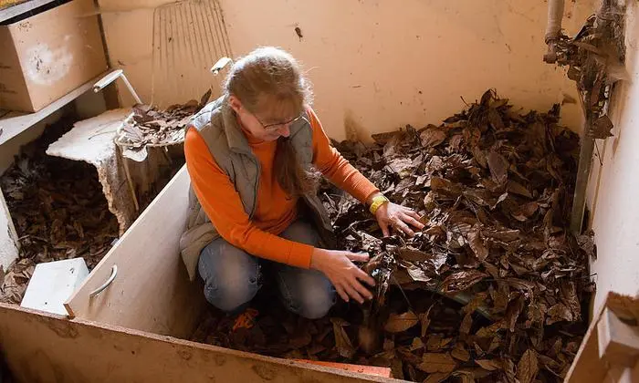 Ute Rosicky im Winterquartier ihrer Igel.