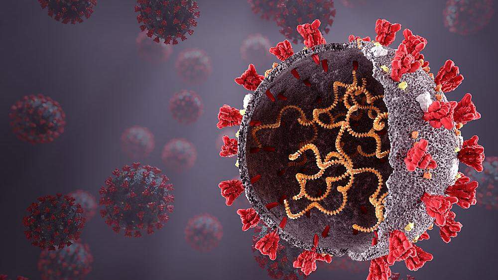 Manche wollen sich mit diesem Virus absichtlich infizieren, anstatt sich impfen zu lassen