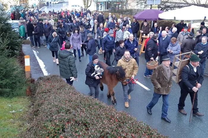 Die Menschen kamen mit Kaninchen, Kälbern, Ponys, Hunden und Hühnern. "Es war eine super-tolle Veranstaltung für Tier und Mensch", schwärmt Leser-Reporter Michael Koinegg.