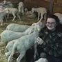 Tierische Kinderstube: Neugierig gehen die Lämmchen mit Theresa Kollnig auf Tuchfühlung