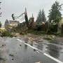 Beim Schloss Alt-Kainach wurde ein Baum von einem Blitz regelrecht zerfetzt