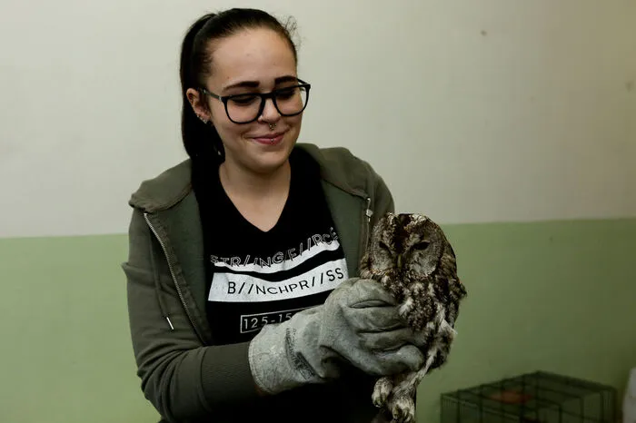 Auch verletzte Wildtiere werden regelmäßig in die Arche Noah zur Betreuung gebracht.