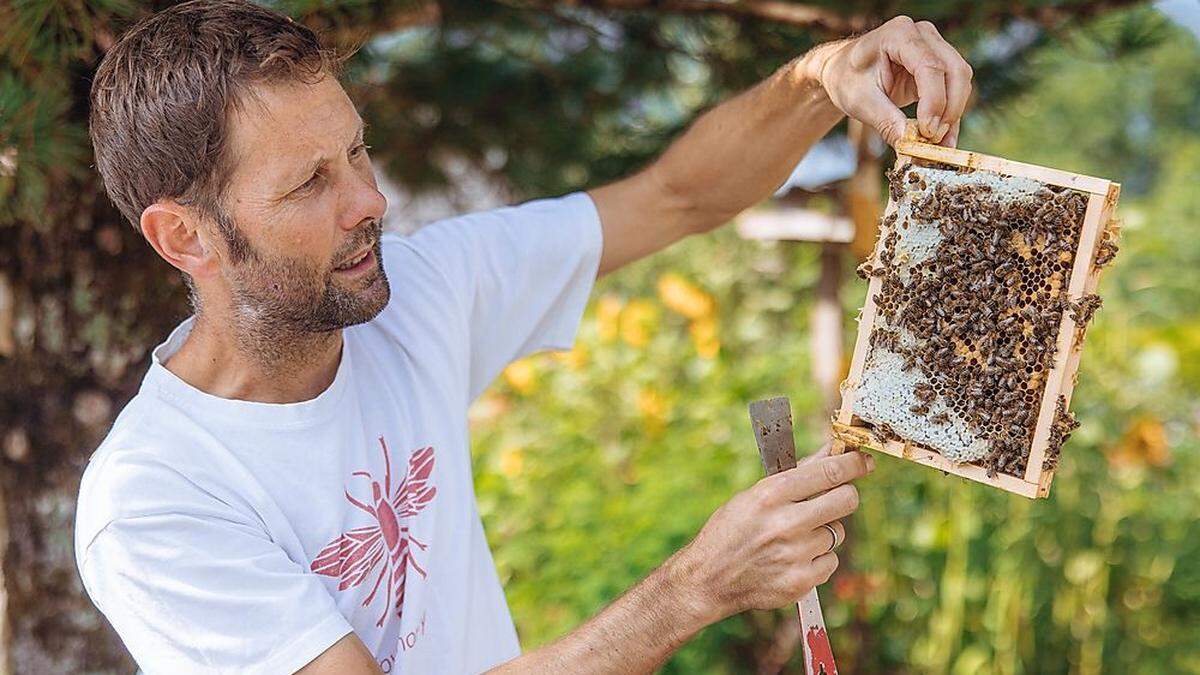 Arno Kronhofer freut sich nicht nur über die Honigernte. Als Imker fasziniert ihn vor allem die Lebensweise der Bienen und er gibt diese Begeisterung gern weiter