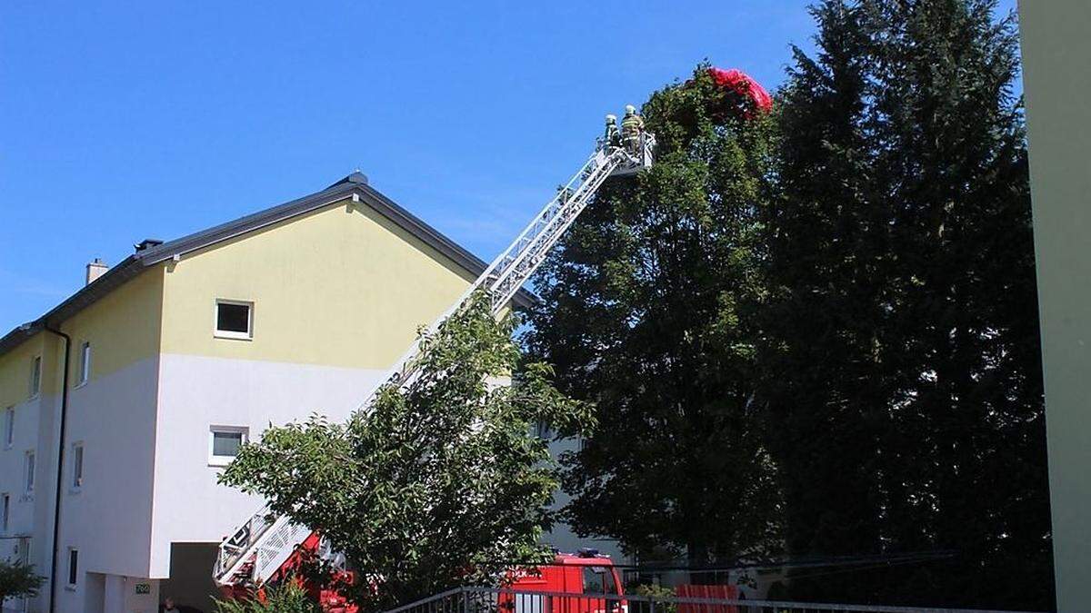 Die Drehleiter der Feuerwehr kam zum Einsatz