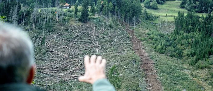Ein Mann zeigt auf den dezimierten Bestand im Vigeinwald im Gemeindegebiet Heinfels
