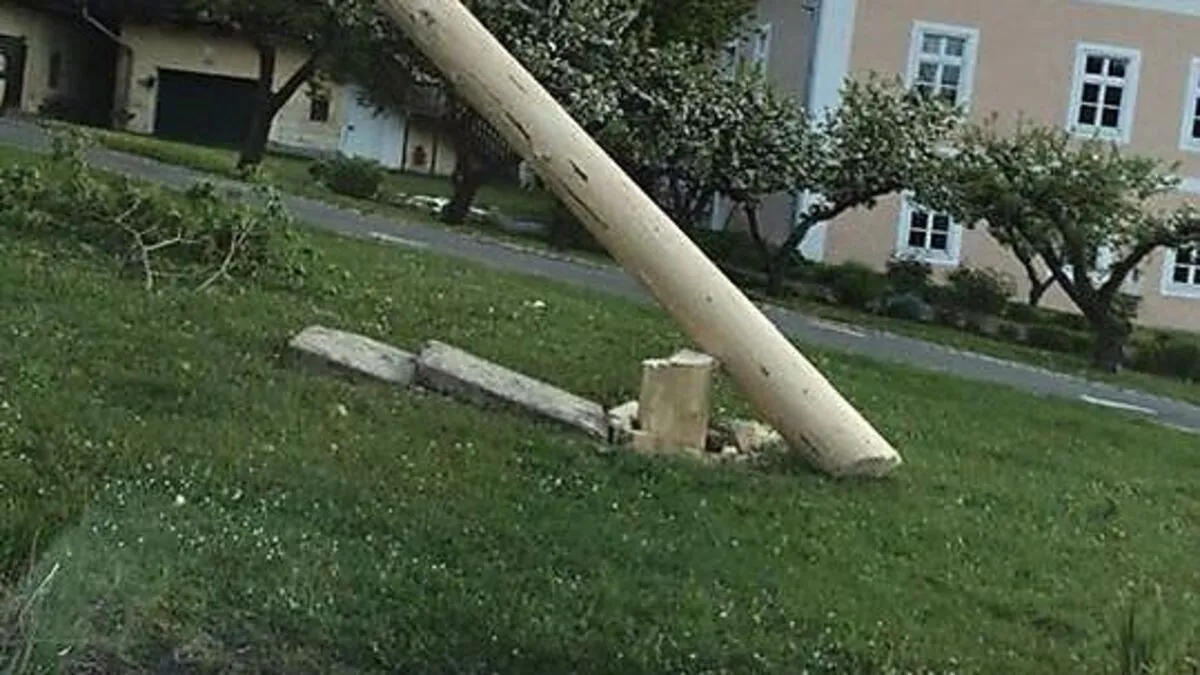 Der Maibaum wurde von Unbekannten umgesägt