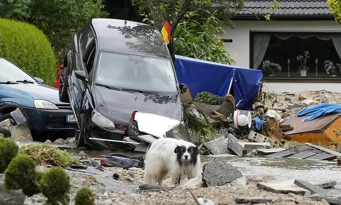 Dreyer: "Die Schäden in den Kommunen sind immens."