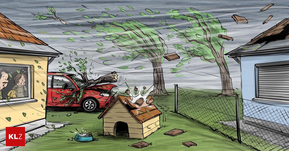 Schäden durch eigenen Besitz: Wenn Dachziegel und Bäume fallen: Wer haftet für Unwetterschäden?
