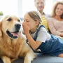 Talking to pet