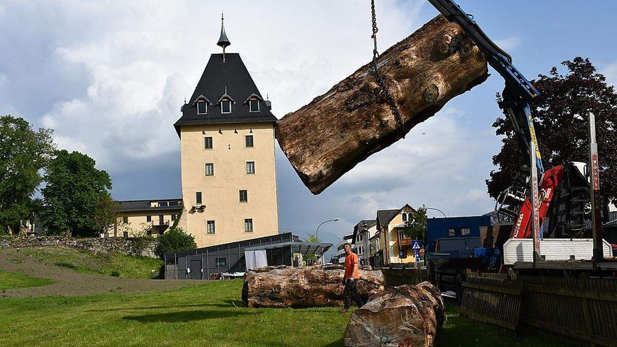 Die Anlieferung der Baumstämme in der Wiese vor dem Stift Millstatt