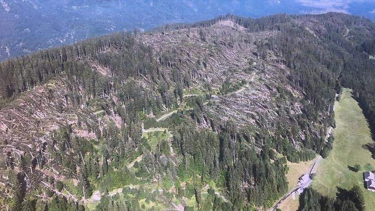 Allein am Guggenberg wurden beim Sturm im August 100.000 Festmeter Holz vernichtet. Im gesamten Gail- und Gitschtal 300.000