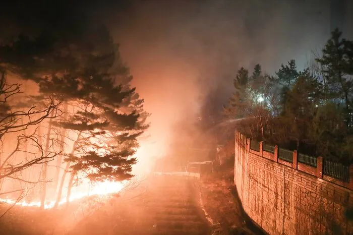 Durch die Flammen wurden den Berichten zufolge nach ersten Schätzungen mehr als 120 Häuser und 250 Hektar Wald zerstört.