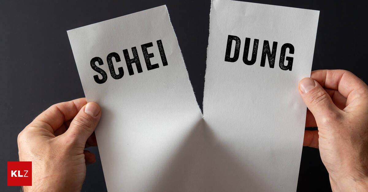 Scheidung-nicht-verkraftet-Schilder-Demo-bei-Ex-Schwiegereltern