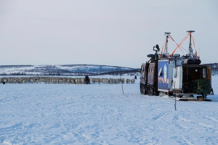 Die Gesamtstrecke beträgt 260 Kilometer und endet mit der Ankunft auf der Insel Kvaløy. Die Kühe sind übrigens trächtig - viele dürften unmittelbar nach der Ankunft kalben.