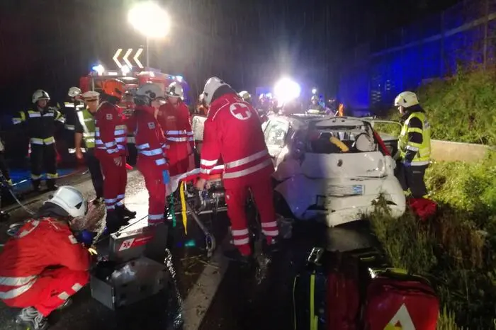 Im Einsatz standen die Feuerwehren Nestelbach bei Graz, Ludersdorf, Autal und Gleisdorf. 