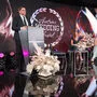1. Online-Gala des „Austrian Wedding Award“: Juror Florian Weber, Bianca Lehrner und Susanne Hummel