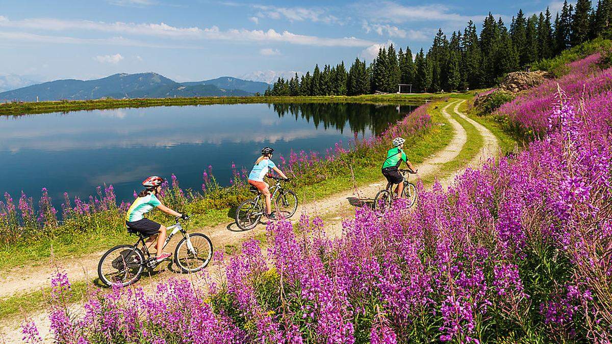 Mountainbiken in Wagrain-Kleinarl