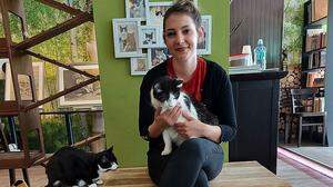 Verena Kulterer möchte ihren Katzen wieder etwas Abwechslung bieten.