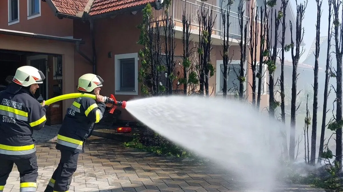 Verletzt wurde bei dem Brand niemand