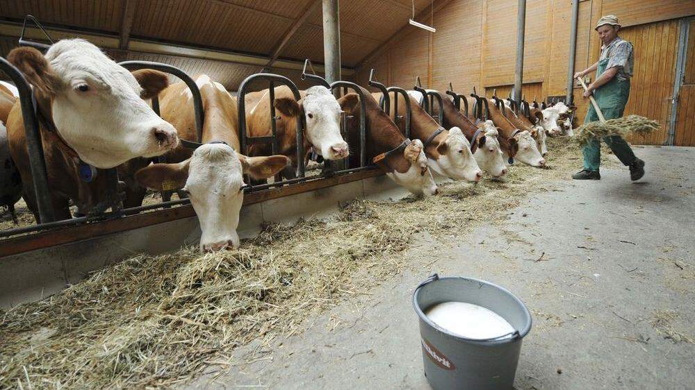 Milchbauern stoßen sich an neuen Standards (Sujetbild) 