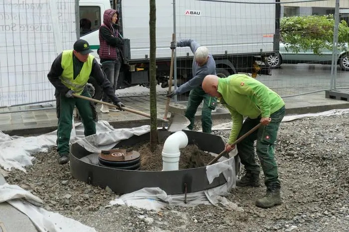 Das spezielle Substrat wird im Pflanzraum verteilt
