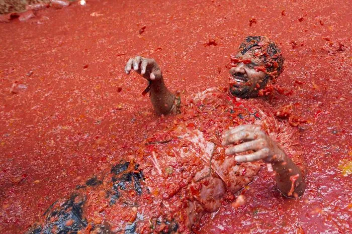 Die Schlacht verzeichnete dieses Jahr eine Bestmarke: Die Stadtverwaltung stellte nach eigenen Angaben 165 Tonnen Tomaten bereit - fünf Tonnen mehr als im Vorjahr.