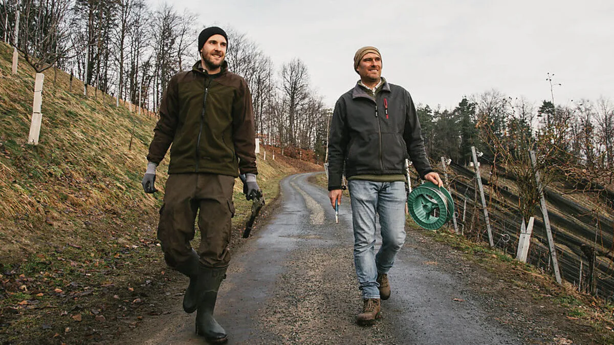 Im Weingarten unterwegs: Peter und Markus Skoff