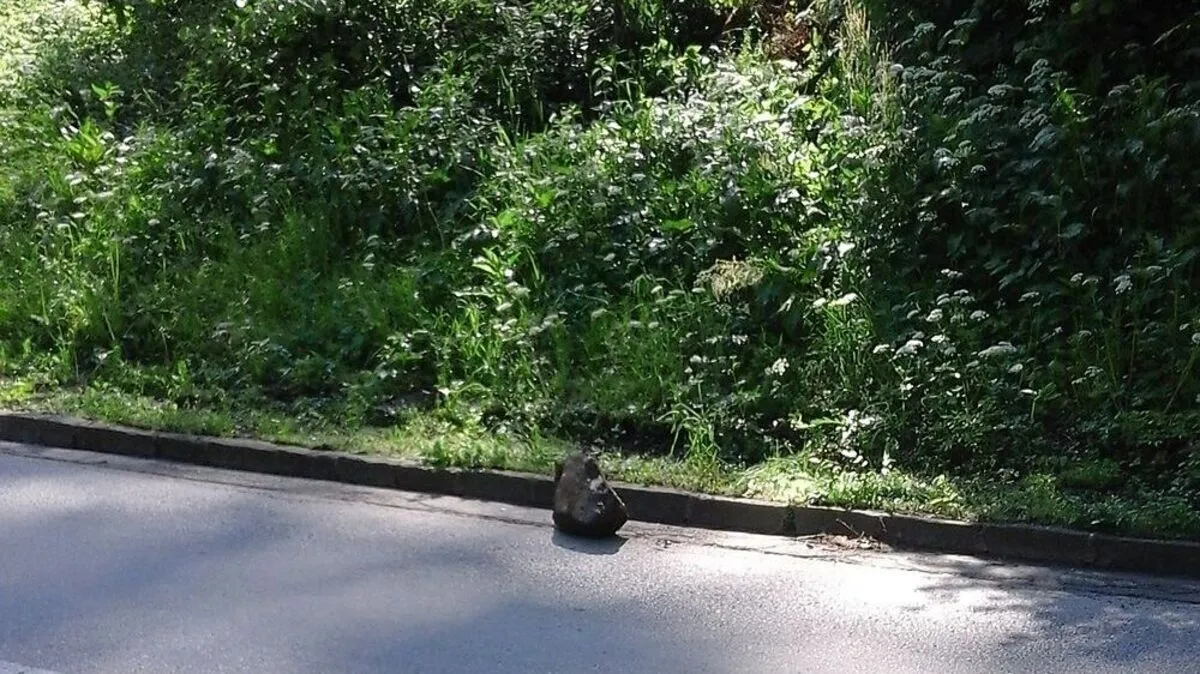 Die Straße bleibt aus Sicherheitsgründen gesperrt