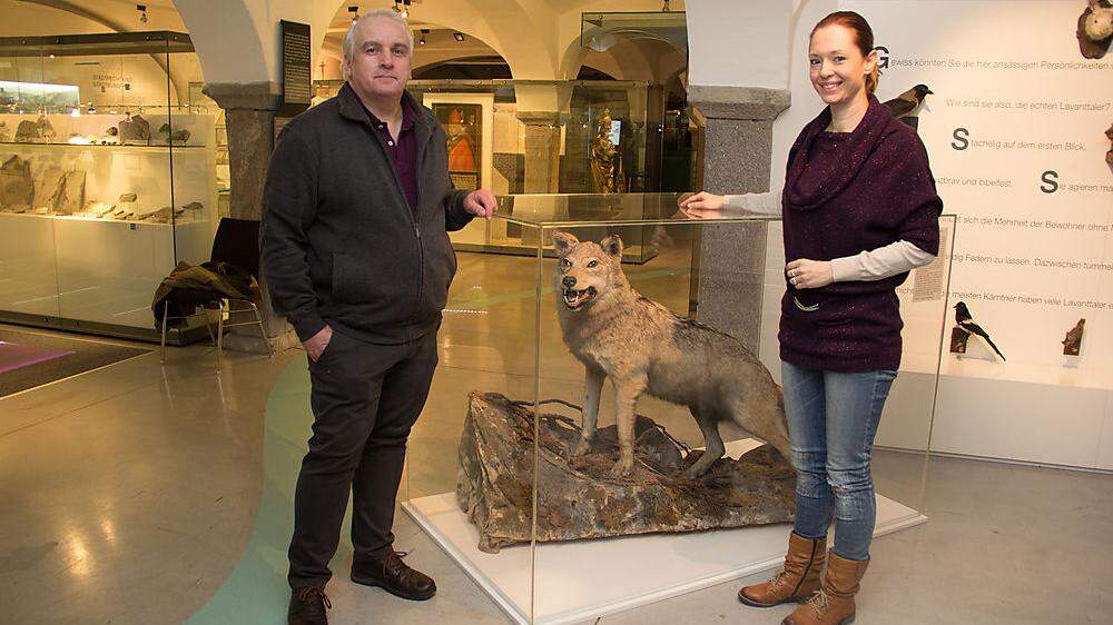 Werner Thelian und Christine Ragger mit dem letzten erlegten Wolf im Lavanttal (Leihgabe Landesmuseum Kärnten) 