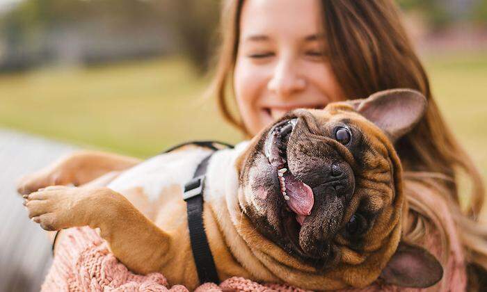 Für einsame Menschen sind Hunde eine gute Gelegenheit, um soziale Kontakte zu knüpfen