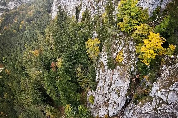 Der Blick der Einsatzkräfte von oben