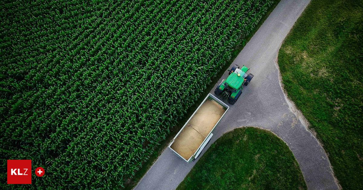 Nine farms are closing every day: is Austria losing its farmers?