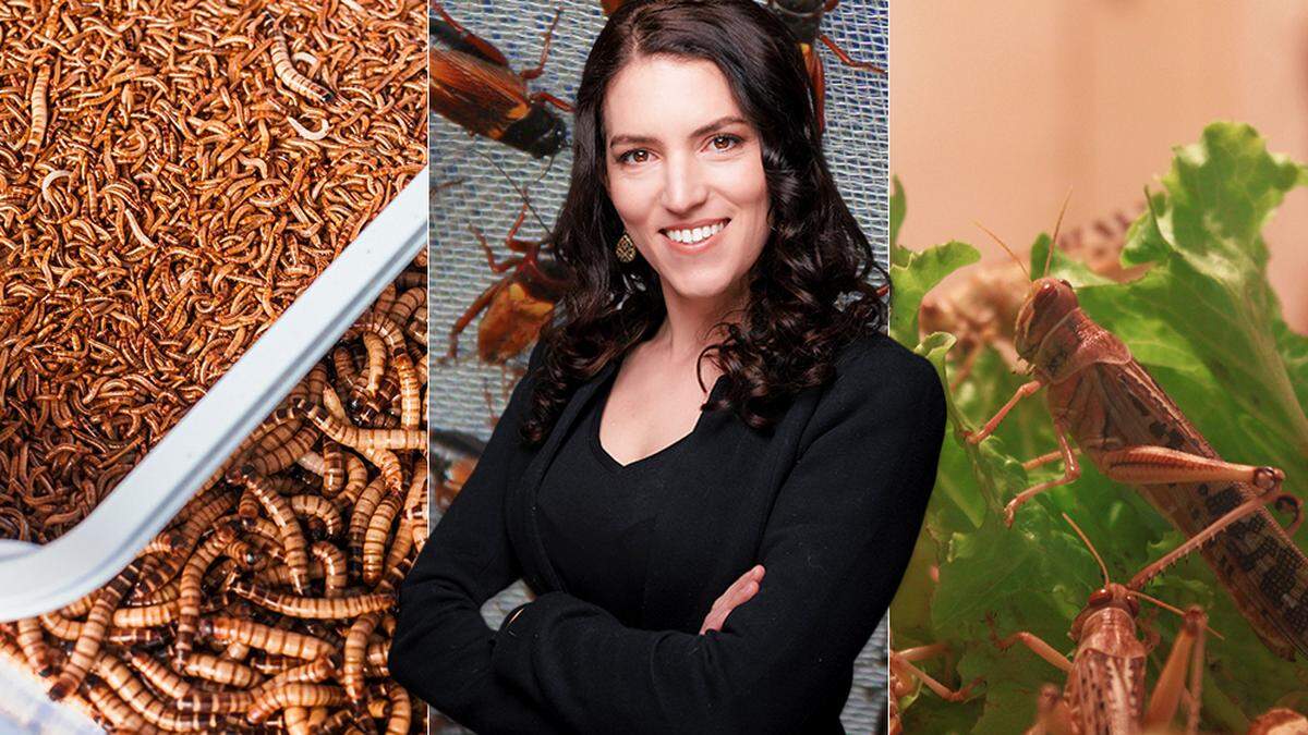 Lisa-Marie Schaden will zeigen, wie die Insektenzucht funktioniert