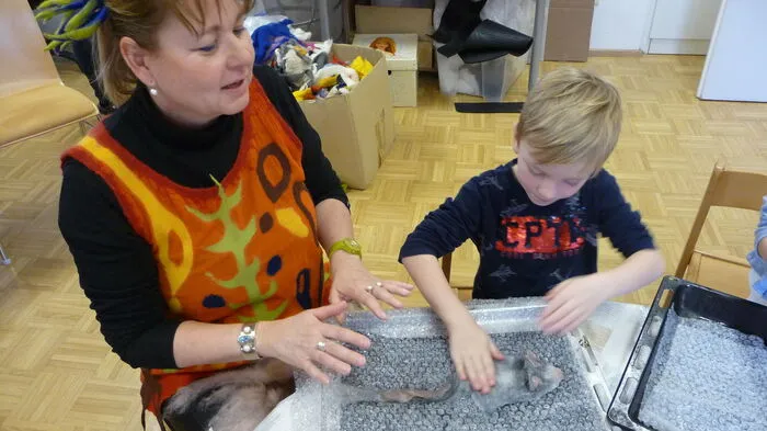 Kreativität wird im Pfarrkindergarten in Heiligenkreuz am Waasen groß geschrieben. In der Filzwerkstatt können sich die Kinder diesbezüglich austoben.