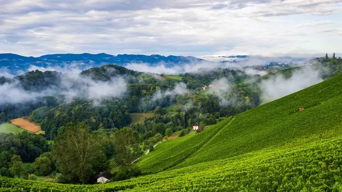 Die Schönheiten der Steiermark und Kärntens (hier. die Südsteiermark) im Herbst stehen im Fokus einer neuen Kamapgne