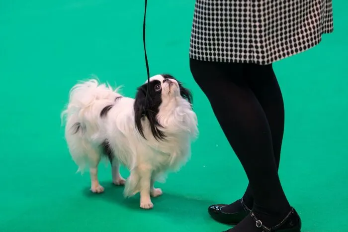 Klicken Sie sich durch die schönsten Bilder!