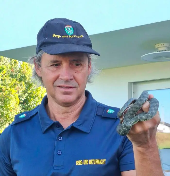 Der Naturwächter in blauer Uniform, in der Hand hält er die Schlange fest
