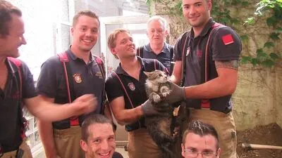 Feuerwehr rettet Katze