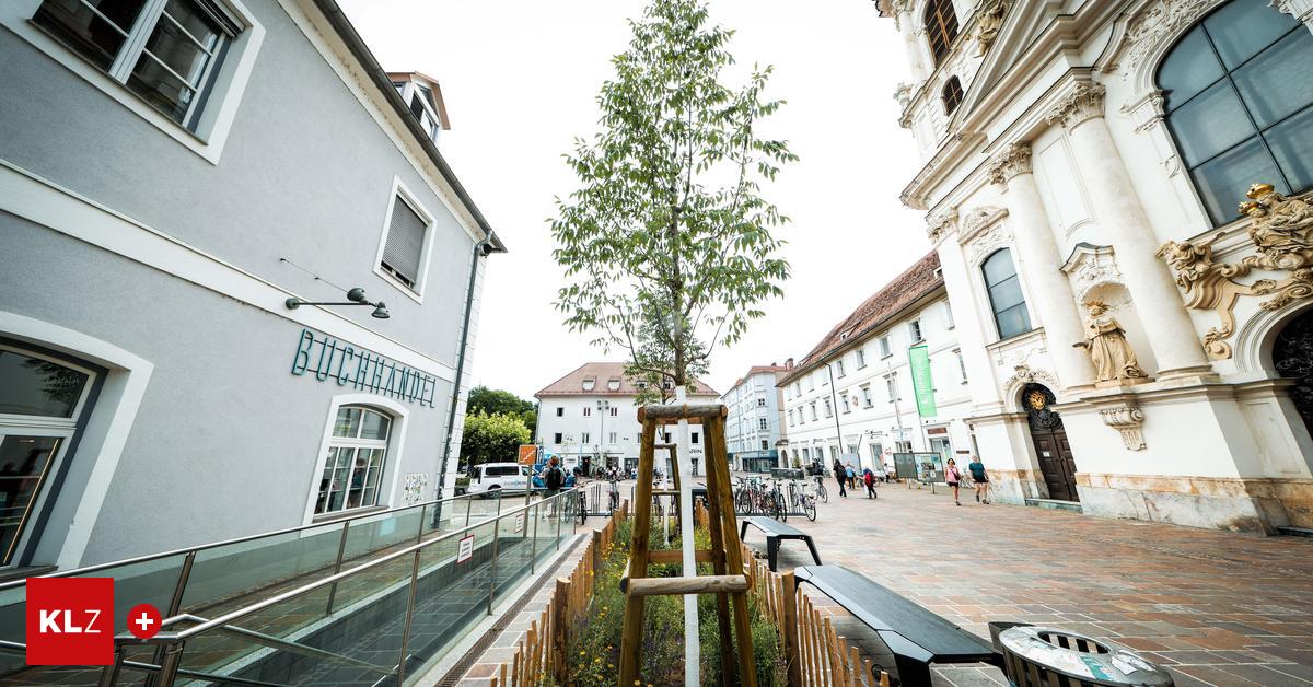 Bl-hende-Bilanz-Die-Stadt-Graz-hat-heuer-836-neue-B-ume-gepflanzt-311-ersetzten-zuvor-entfernte-Exemplare